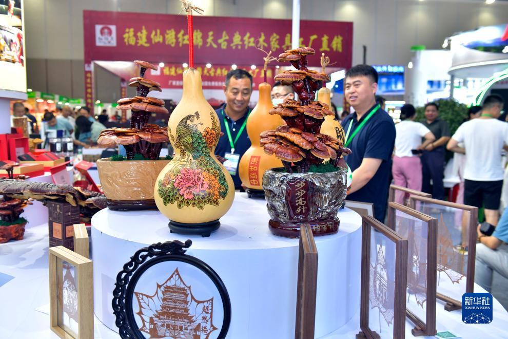 大力菠菜网更名